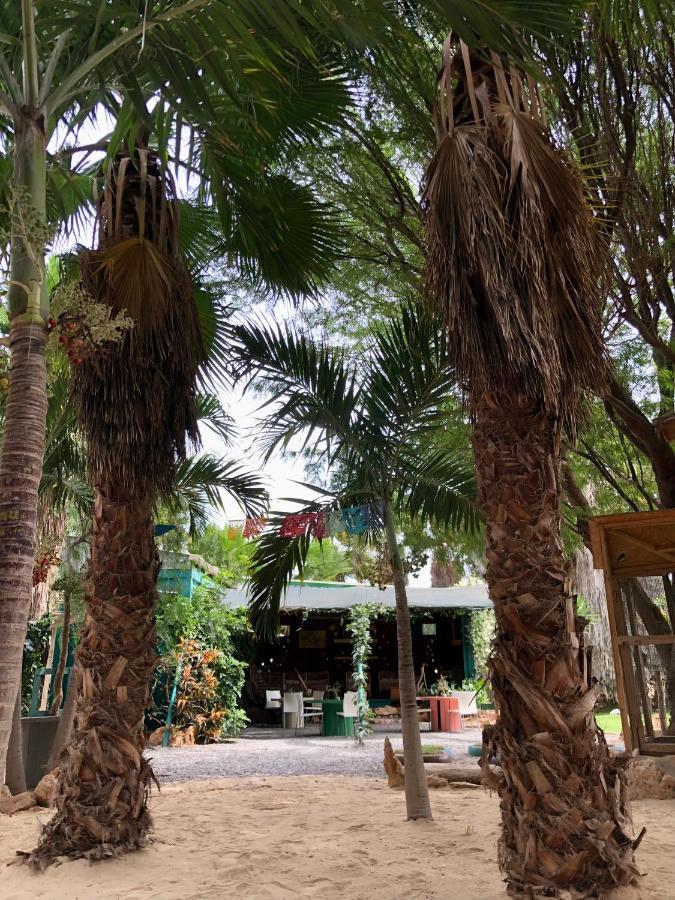 Tropical Morabeza * Santa Maria